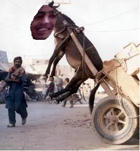 wa lkhra d da7k